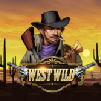 https://junior303.store/public/uploads/games-image/116.WestWild.png