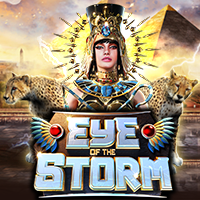 https://junior303.store/public/uploads/games-image/vs10eyestorm.png