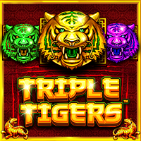 https://junior303.store/public/uploads/games-image/vs1tigers.png