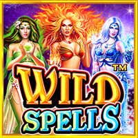 https://junior303.store/public/uploads/games-image/vs25wildspells.png