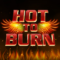 https://junior303.store/public/uploads/games-image/vs5hotburn.png